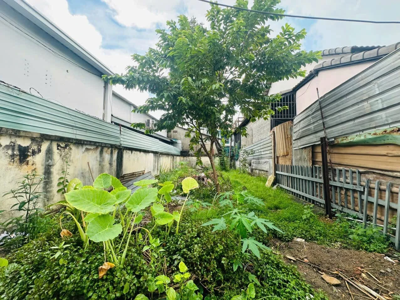 Bán đất hẻm xe hơi 56,7m² Quận 9 giá 4,3 tỷ - Ảnh 1