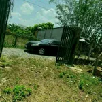 Bán đất Trương Mít Hóc Môn 381m², 2 tỷ - Ảnh thu nhỏ 4