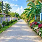 Bán đất 150m² tại chợ gạo Xuân Đông, Tiền Giang - Ảnh thu nhỏ 2
