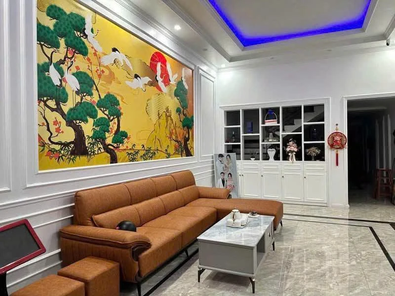 Bán nhà 3 tầng 90m² nội thất cao cấp Chợ Đầm Triều, Hải Phòng - Ảnh 1