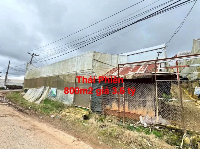 Bán lô đất 800m² Làng hoa Thái Phiên, Đà Lạt 3.6 tỷ