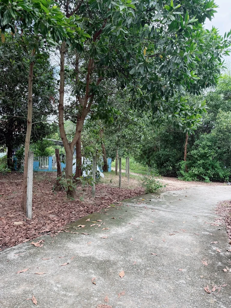 Bán đất Thăng An 800m² mặt tiền 5XX triệu - Ảnh 1