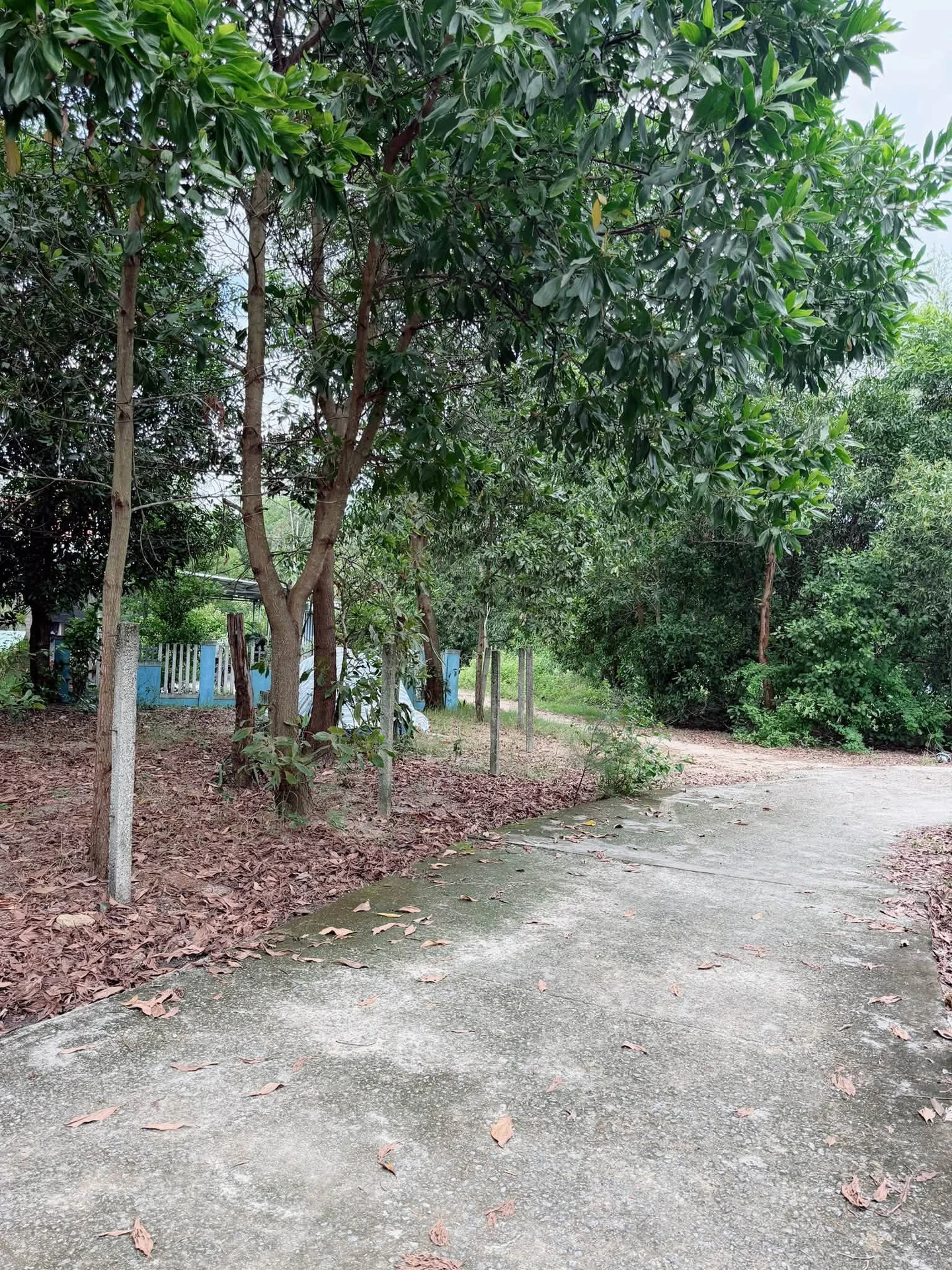 Bán đất Thăng An 800m² mặt tiền 5XX triệu - Ảnh 1