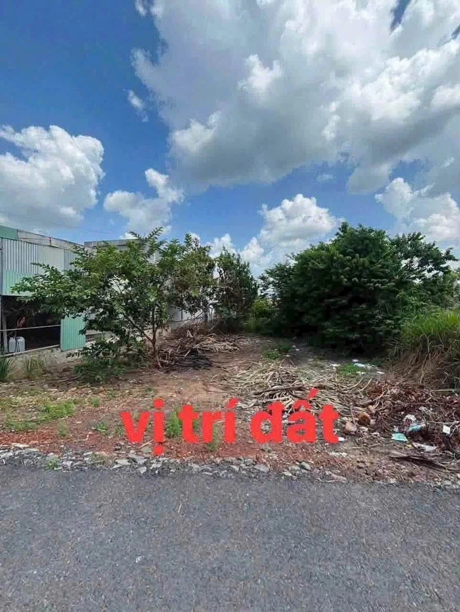 Bán đất mặt tiền đường nhựa Tân Phú, Tây Ninh, ngang 10m dài 32,7m, giá 550 triệu - Ảnh 1