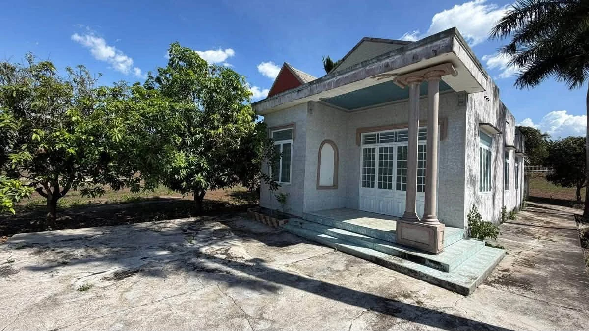 Bán lô đất mặt tiền 21,810m² Xuân Lộc, Đồng Nai - Ảnh thu nhỏ 5