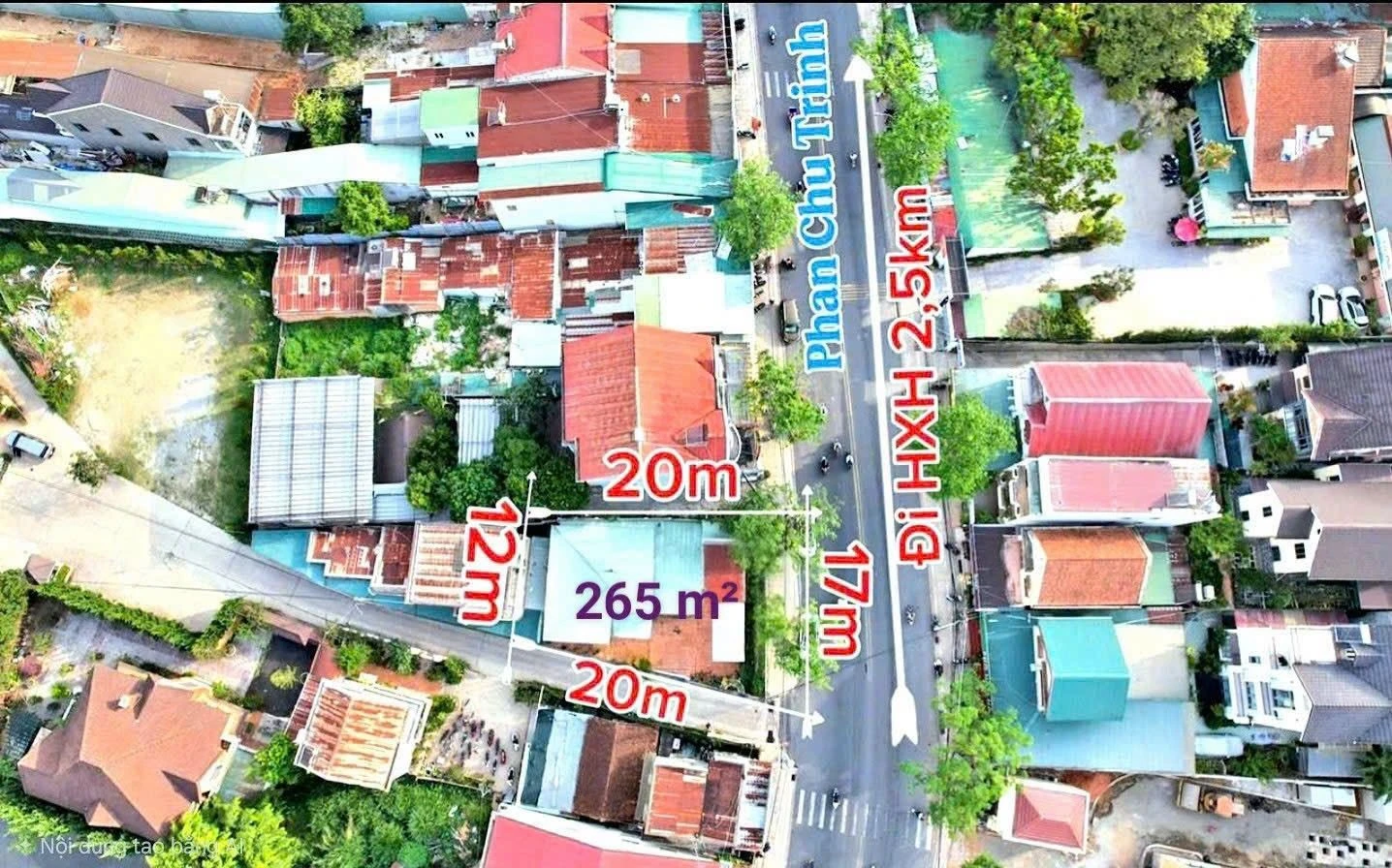 Bán đất Đà Lạt 265m² mặt tiền kinh doanh 26.5 tỷ - Ảnh 1
