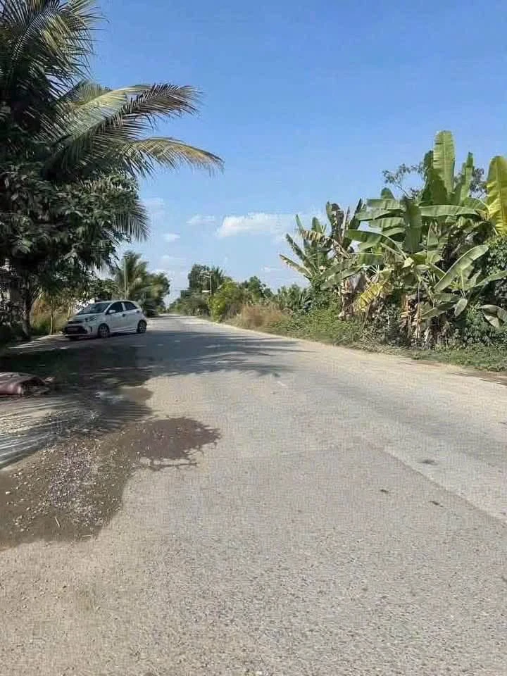 Bán đất mặt tiền Sa Bà Xã Đức Hòa 150m² sổ riêng 1 tỷ 150 triệu - Ảnh thu nhỏ 2