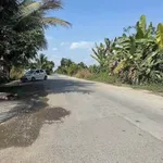 Bán đất mặt tiền Sa Bà Xã Đức Hòa 150m² sổ riêng 1 tỷ 150 triệu - Ảnh thu nhỏ 2