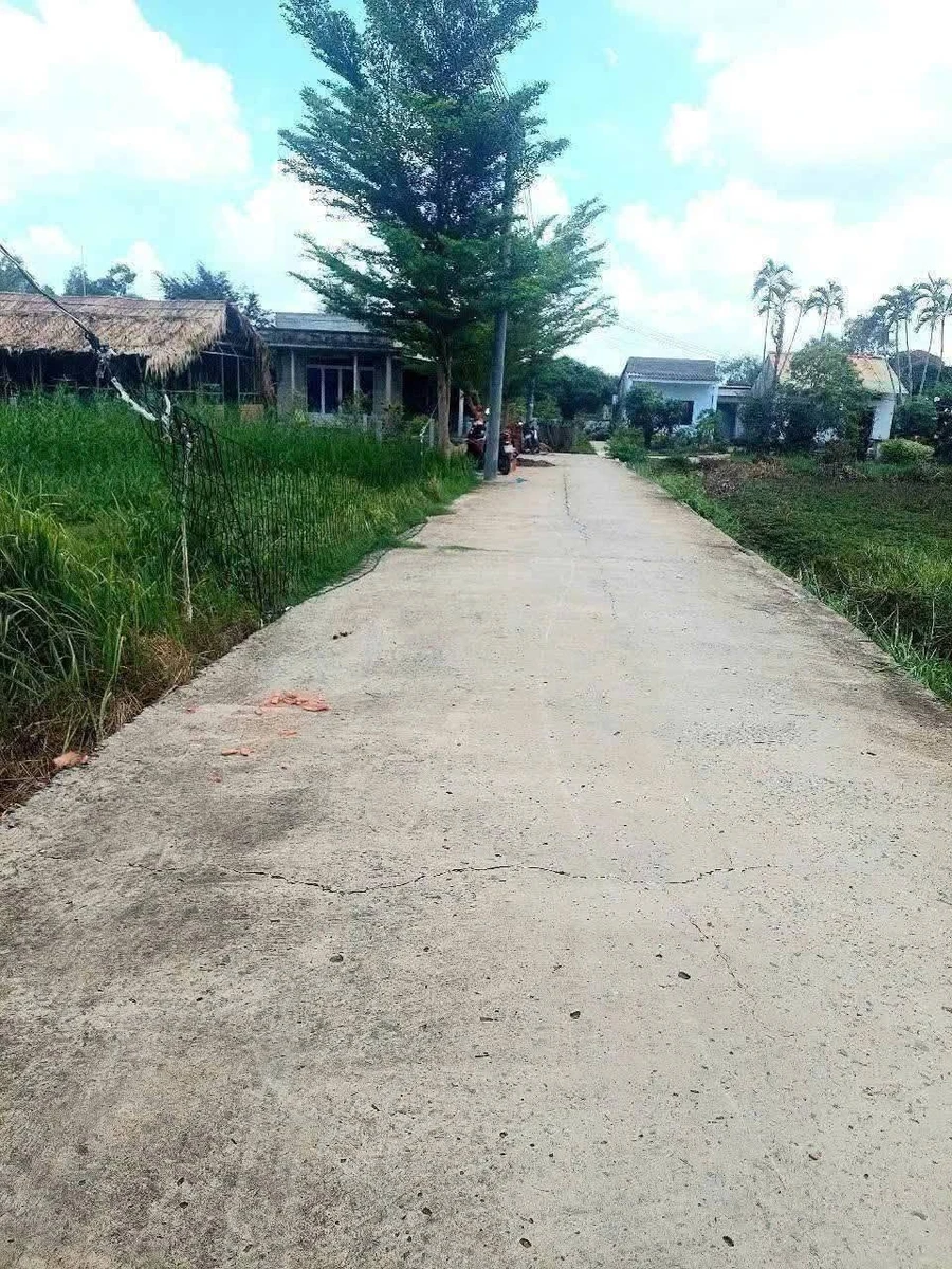 Bán đất 134,8m2 gần cầu Bà Tượng, Tân Trạch, giá 750 triệu - Ảnh thu nhỏ 2