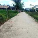 Bán đất 134,8m2 gần cầu Bà Tượng, Tân Trạch, giá 750 triệu - Ảnh thu nhỏ 2