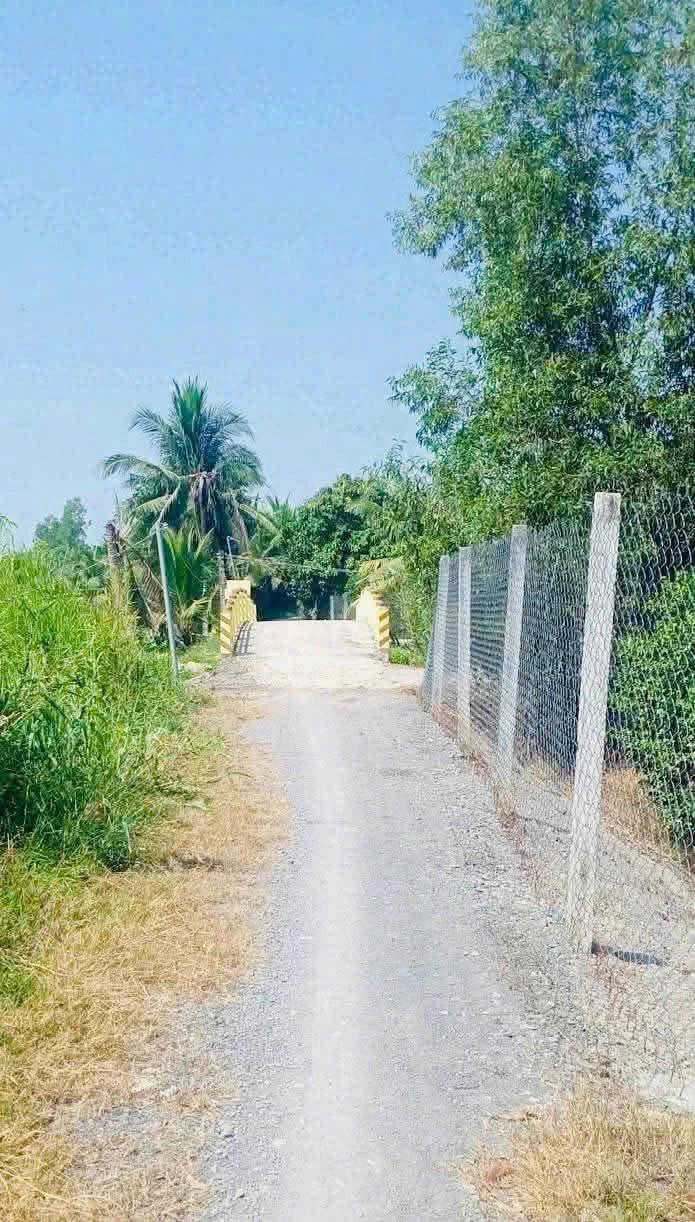 Bán 4.800m² đất vườn Long An, giá 1 tỷ 900 triệu - Ảnh 1