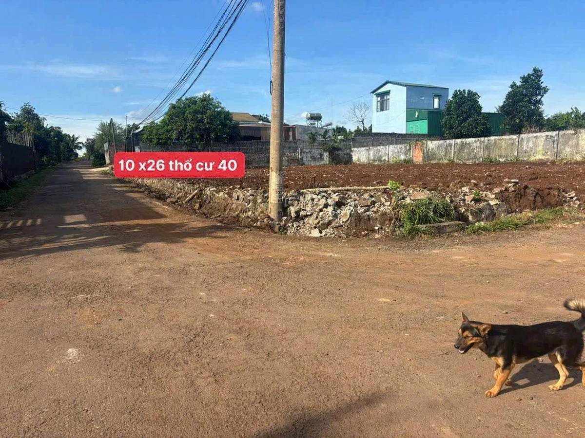 Bán đất thổ cư 10x26m sổ hồng, mặt tiền đường nhựa, phường Ea Kao, Buôn Ma Thuột - Ảnh thu nhỏ 4