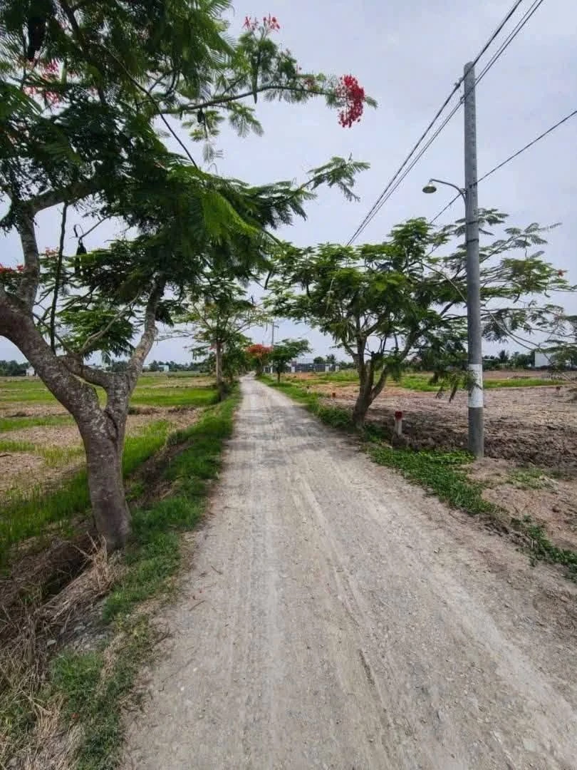 Bán 2 lô đất thổ cư Ao Gòn Cần Dước 5tr/m2 - Ảnh 1