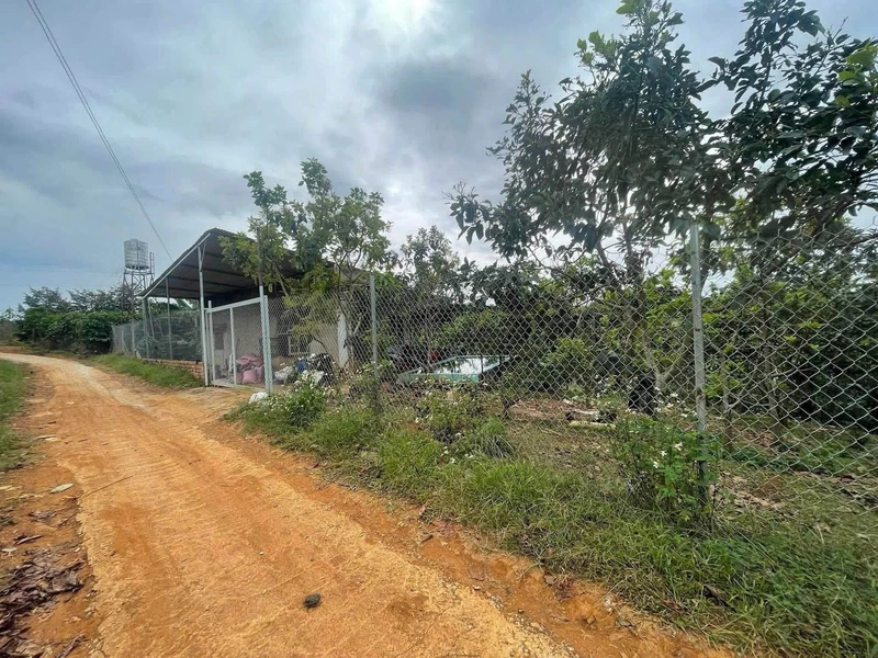 Bán đất Lộc An Bảo Lộc 2,4ha có nhà cấp 4 giáp suối