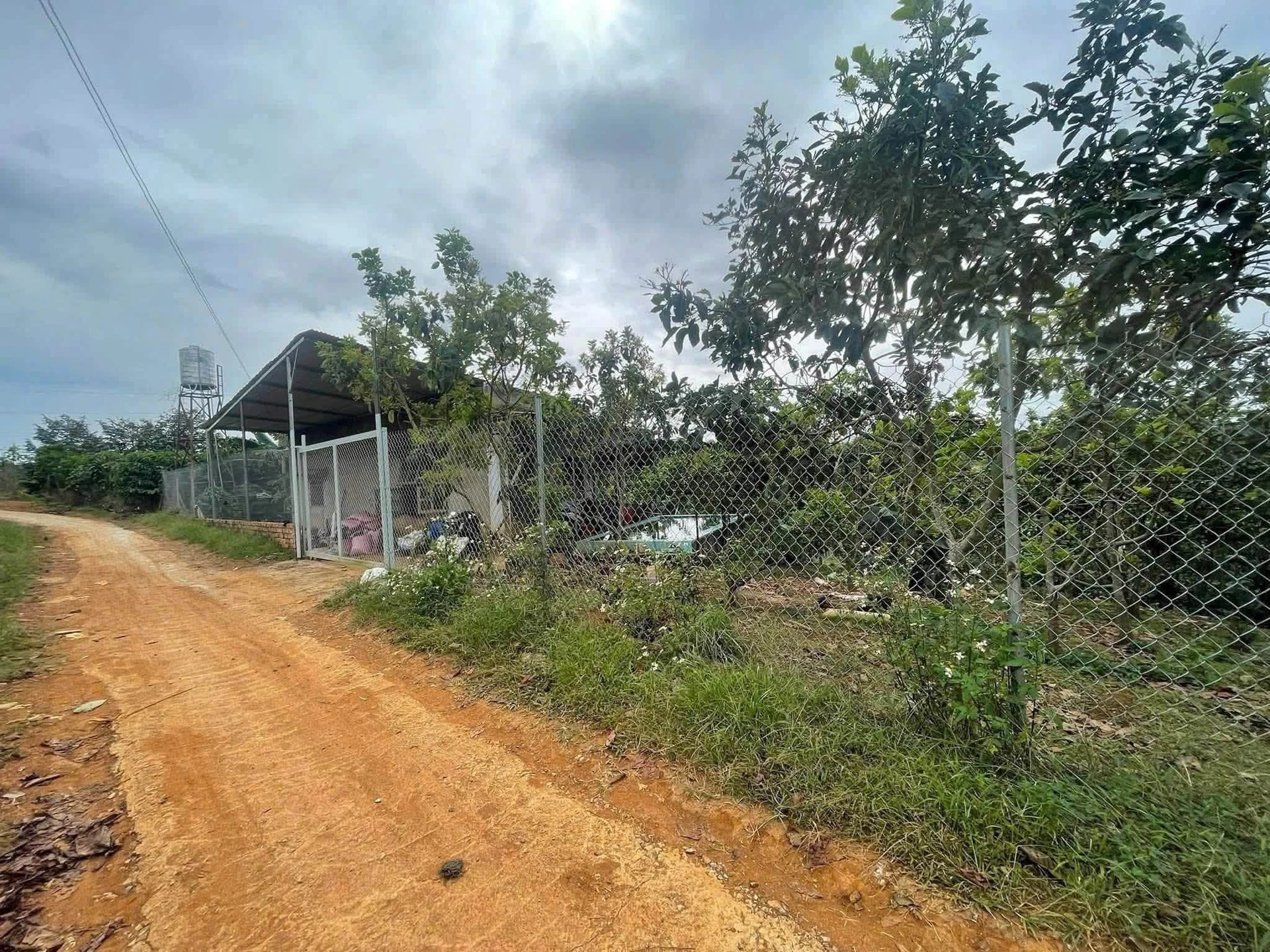 Bán đất Lộc An Bảo Lộc 2,4ha có nhà cấp 4 giáp suối - Ảnh 1