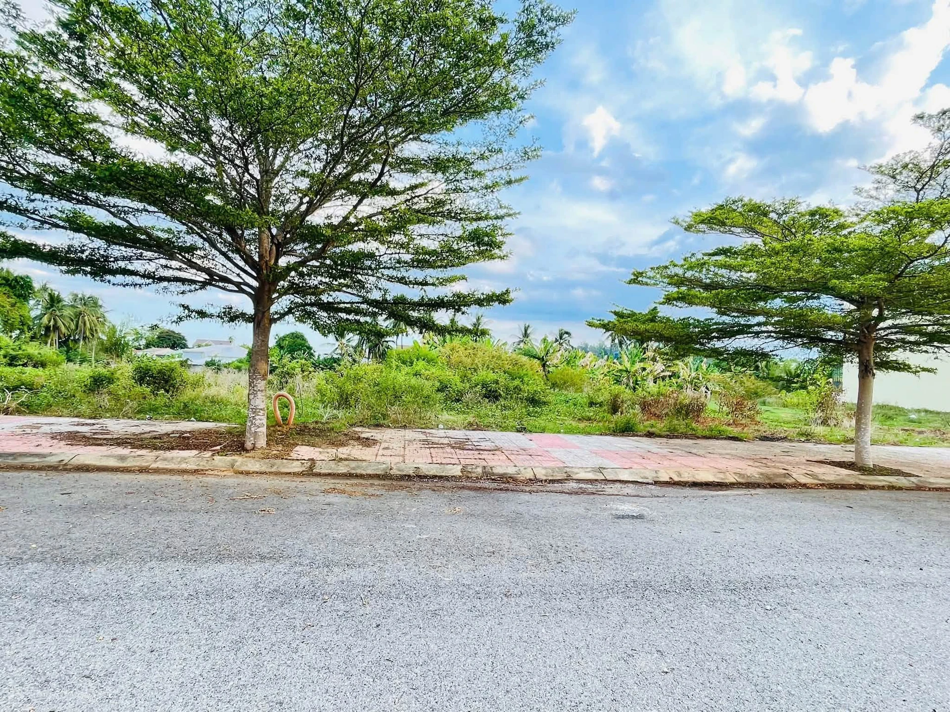 Bán đất Phú Gia Hưng 125m² gần Cầu Cổ Luỹ - Ảnh 1