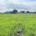 Bán lô đất Hàm Chính 1499m² sổ hồng công chứng - Ảnh thu nhỏ 5