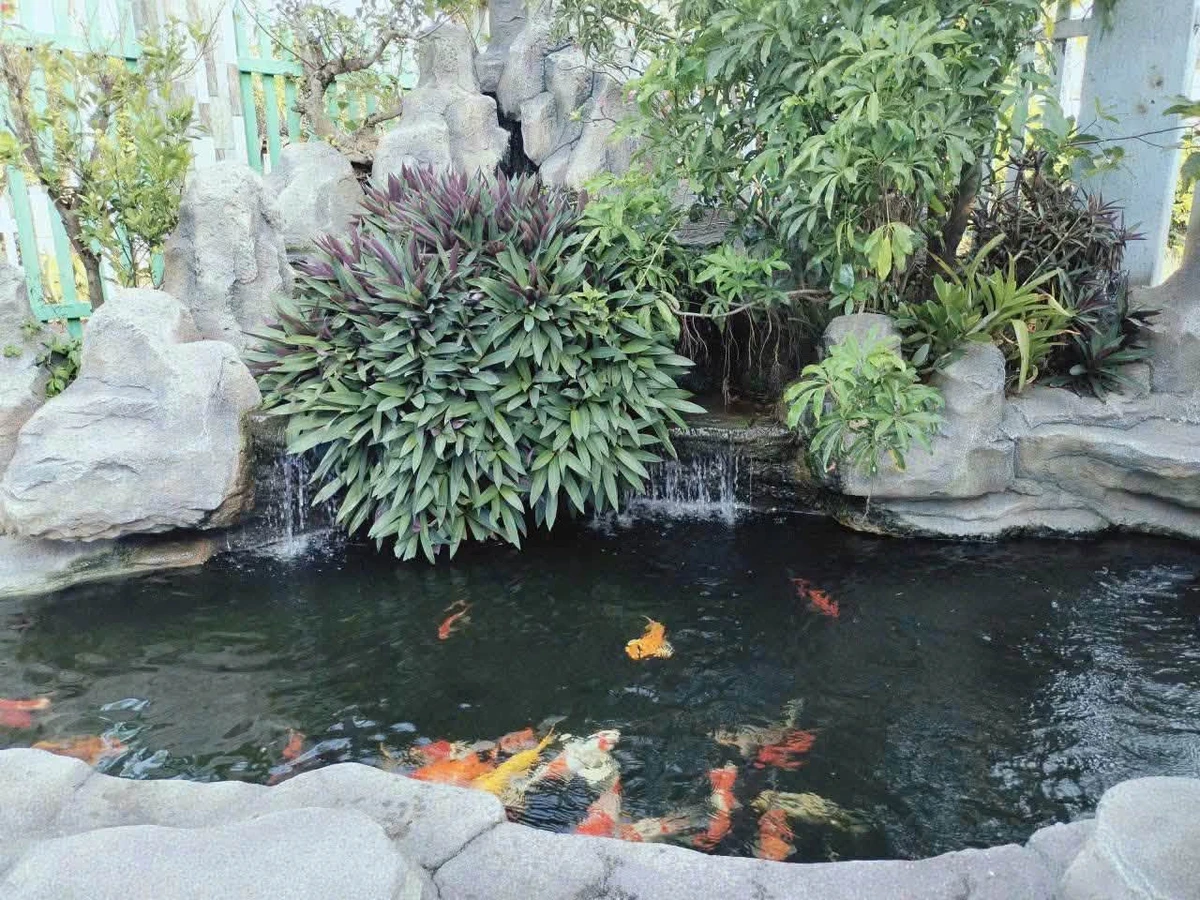 Bán đất An Phước Đồng Nai 630m2 giá 7 tỷ - Ảnh thu nhỏ 4