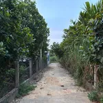 Bán nhà vườn nghỉ dưỡng 1100m² tại Quảng Ngãi - Ảnh thu nhỏ 3