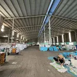 Bán nhà xưởng 4.300m² Long Khê Long An, 43 tỷ - Ảnh thu nhỏ 2