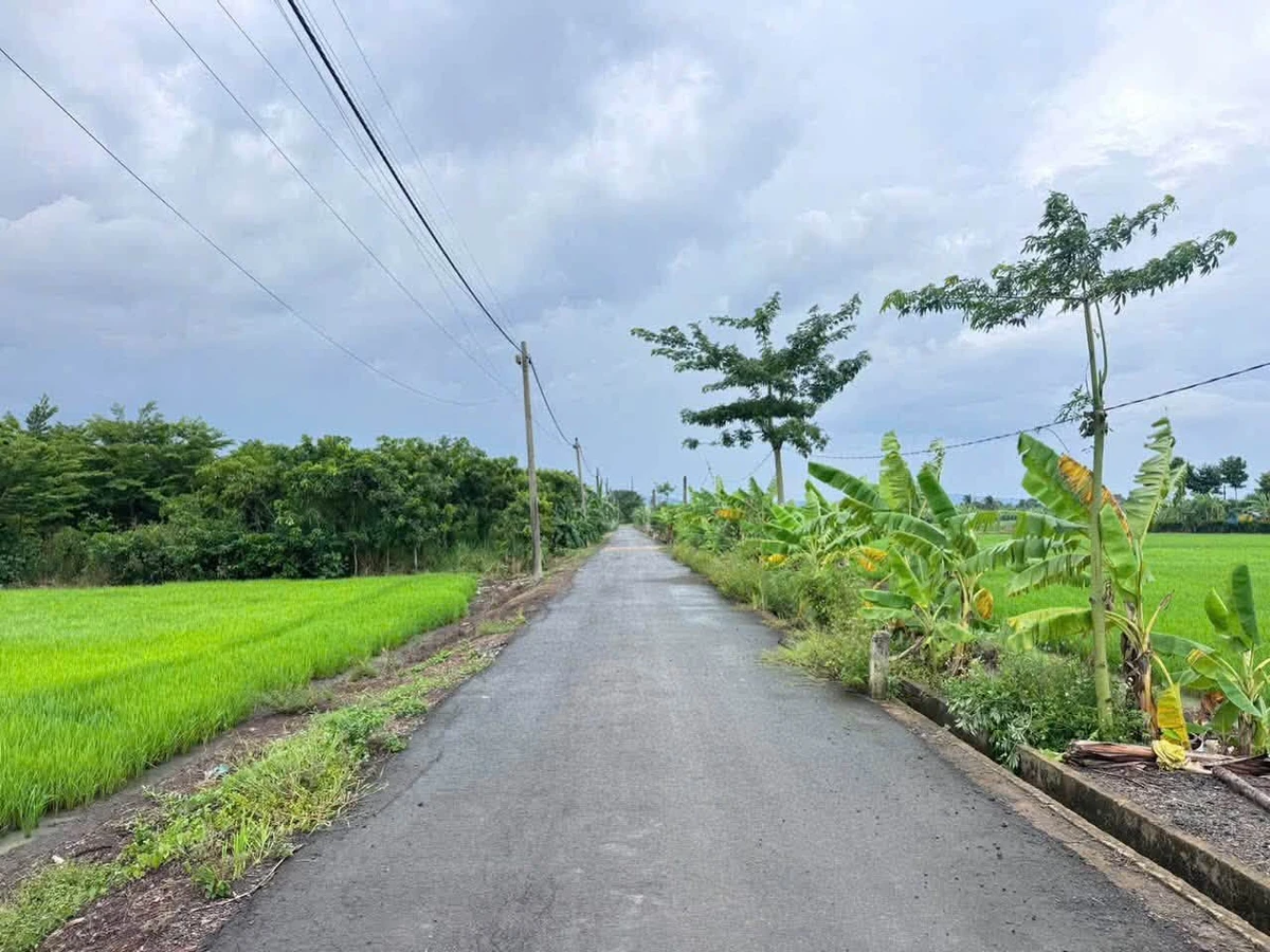 Bán lô góc 531m² mặt tiền đường nhựa Sông Thao - Ảnh thu nhỏ 2