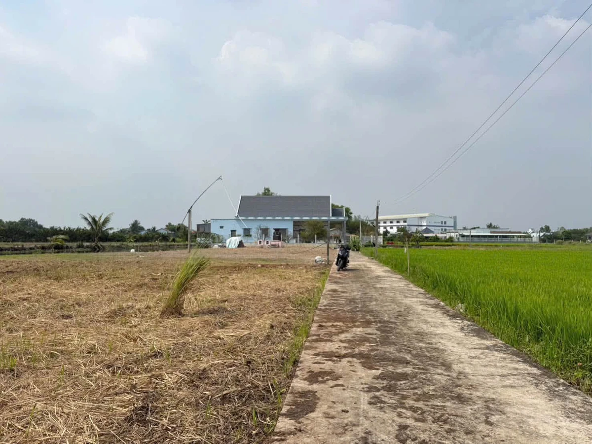 Bán đất 950m2 ở Cần Giờ, giá 2.9 tỷ - Ảnh thu nhỏ 4