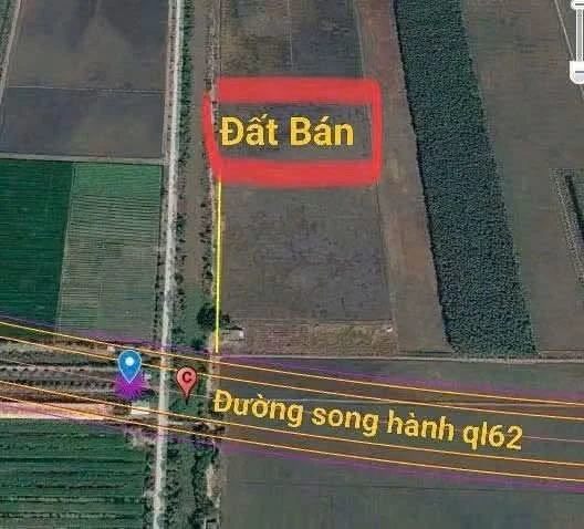Bán đất lúa 83x120m (khoảng 1 mẫu) giá 2,1 tỷ tại Tân Tây, Thạnh Hóa, Long An - Ảnh thu nhỏ 3
