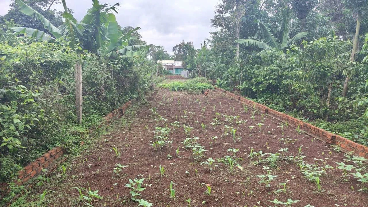 Bán đất mặt tiền Nguyễn Xuân Nguyên, Tân An, 60m² - Ảnh thu nhỏ 2