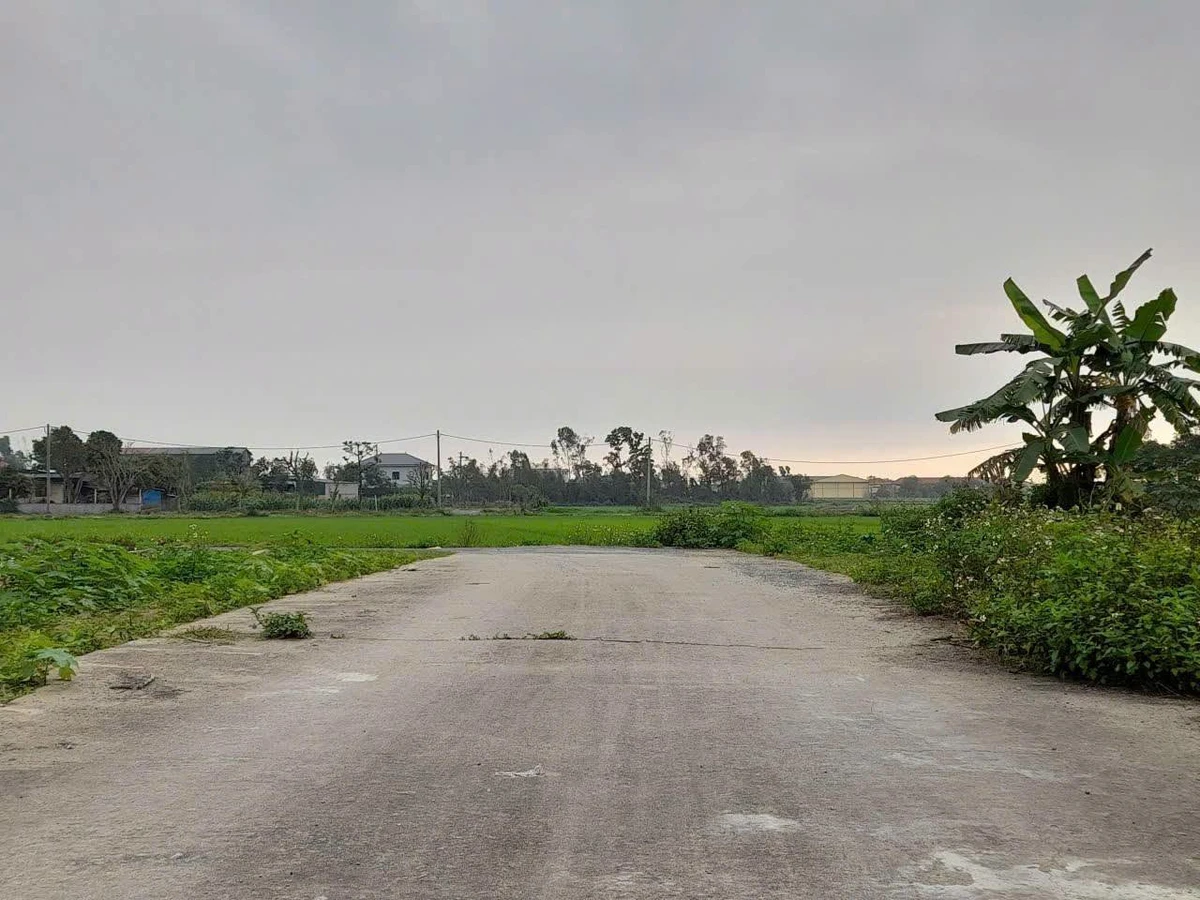 Bán đất 165m² Nghi Phong, Nghệ An 2,64 tỷ - Ảnh thu nhỏ 4