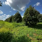 Bán 1,7 hectare sầu riêng năm 4 tại Eakhal, Đắk Lắk - Ảnh thu nhỏ 3