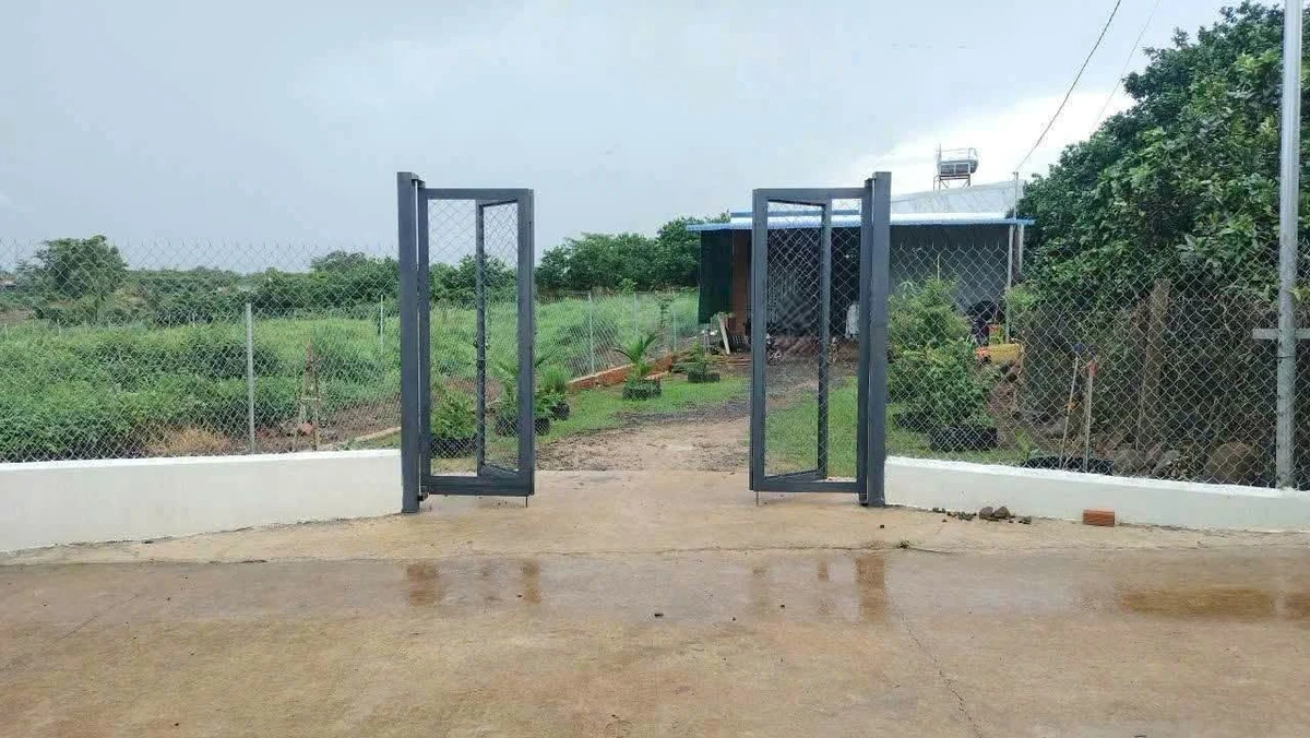 Bán nhà vườn 619m² sổ riêng, giá 680 triệu, Đồng Nai - Ảnh thu nhỏ 2
