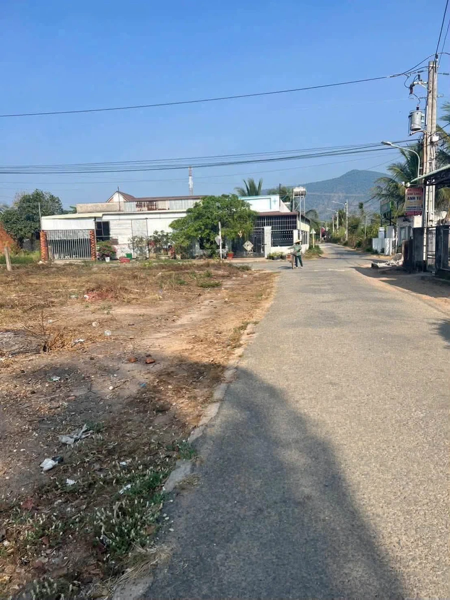 Bán lô đất 300m² đường Ngô Gia Tự 530 triệu - Ảnh thu nhỏ 2