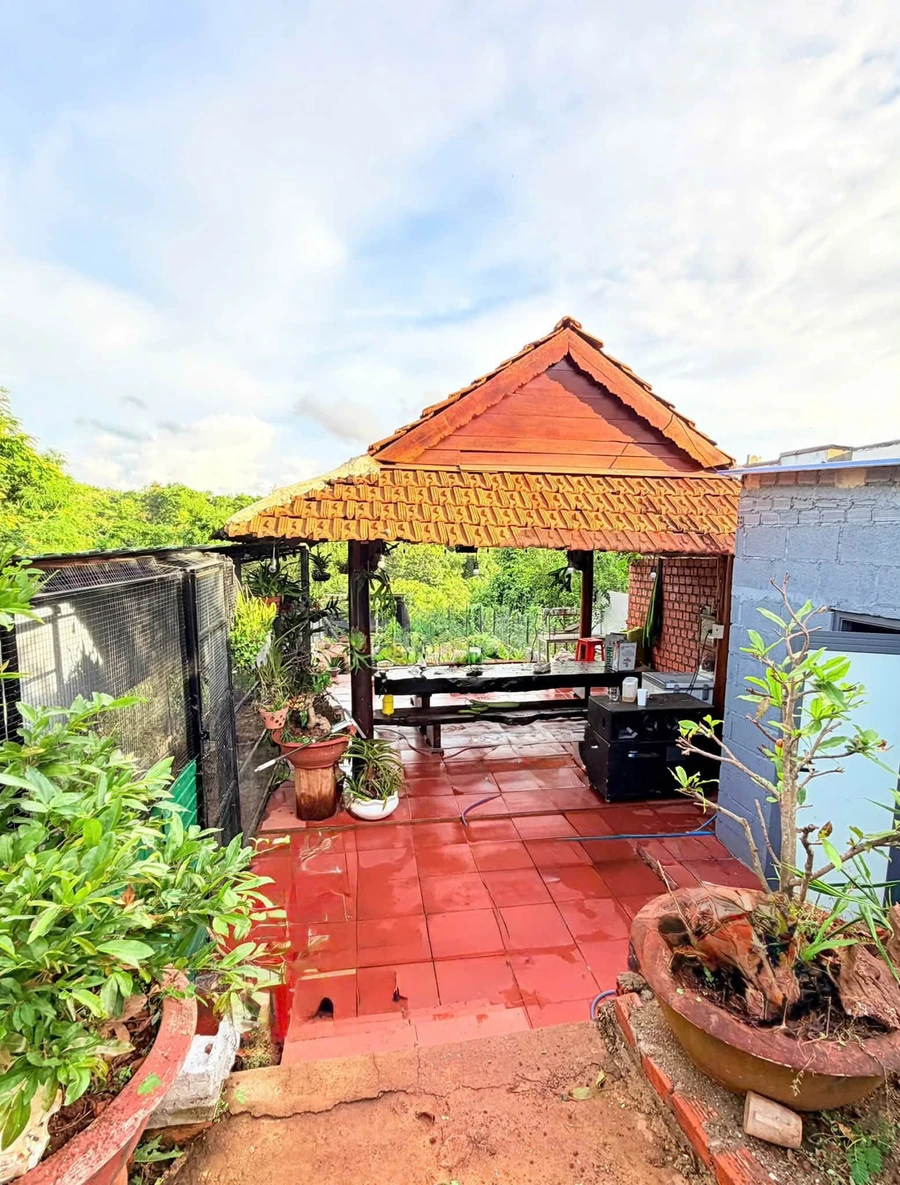 Nhà vườn 420m2 bán 2,5 tỷ Cần Giờ - Ảnh thu nhỏ 4