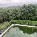 Bán vườn nhãn 4,3 mẫu, 600m2 thổ cư, 3 mặt tiền, giá 25 tỷ tại Cẩm Mỹ, Đồng Nai - Ảnh thu nhỏ 4