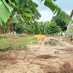 Bán lô nhà vườn 649m² mặt tiền Nguyễn Hùng Mạnh gần Chợ Đất Đỏ - Ảnh thu nhỏ 3