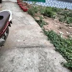 Bán nền đất 96.8m2 An Khánh Châu Thành Bến Tre - Ảnh thu nhỏ 1