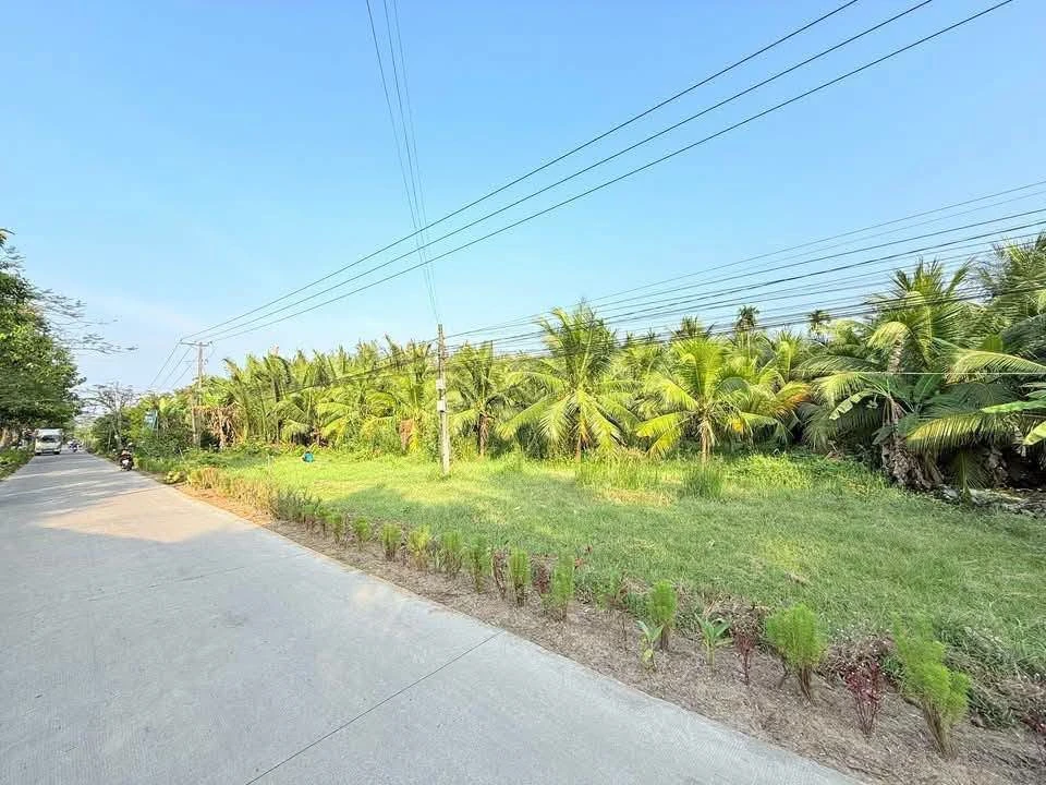 Bán đất mặt tiền Mỹ Thạnh, Nhà Bè, 1336m2 - Ảnh thu nhỏ 5