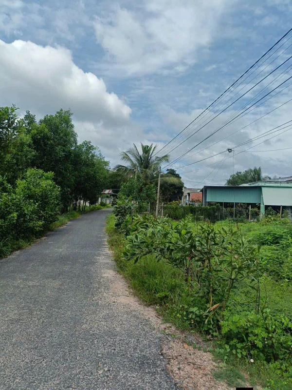 Bán đất mặt tiền 1308m² Tây Ninh 800 triệu