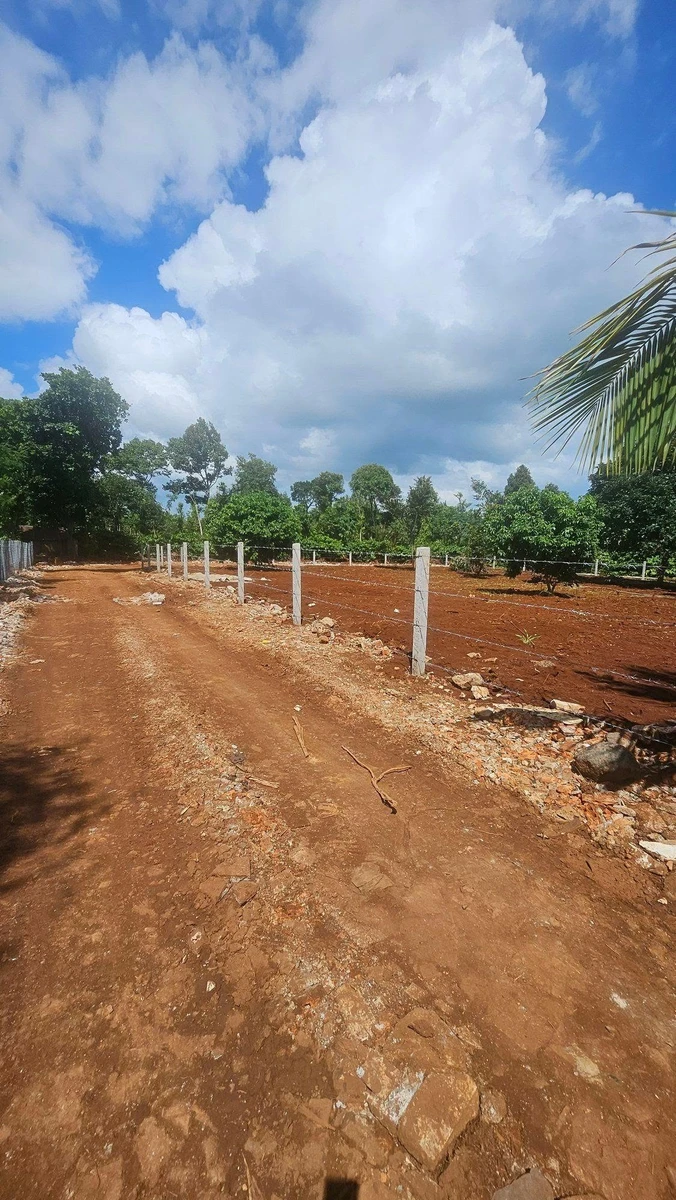 Bán đất nông nghiệp 500m2 Bình Mỹ 759 triệu - Ảnh thu nhỏ 3