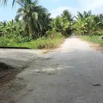 Bán đất vườn dừa 10.000m2 Ba Tri, Bến Tre - Ảnh thu nhỏ 1