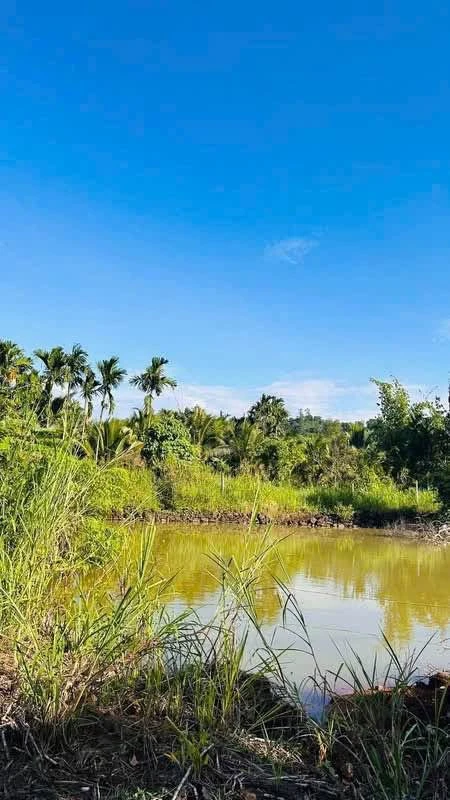 Bán đất 785m² đường 19 Tháng 5, 790 triệu - Ảnh thu nhỏ 4