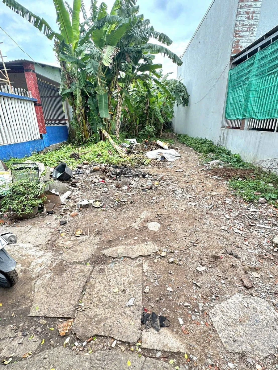 Bán đất 269,5m2 ngang 8m, thổ cư 116m2, gần đường Tân Phước Khánh 22, Tân Uyên - Ảnh thu nhỏ 3