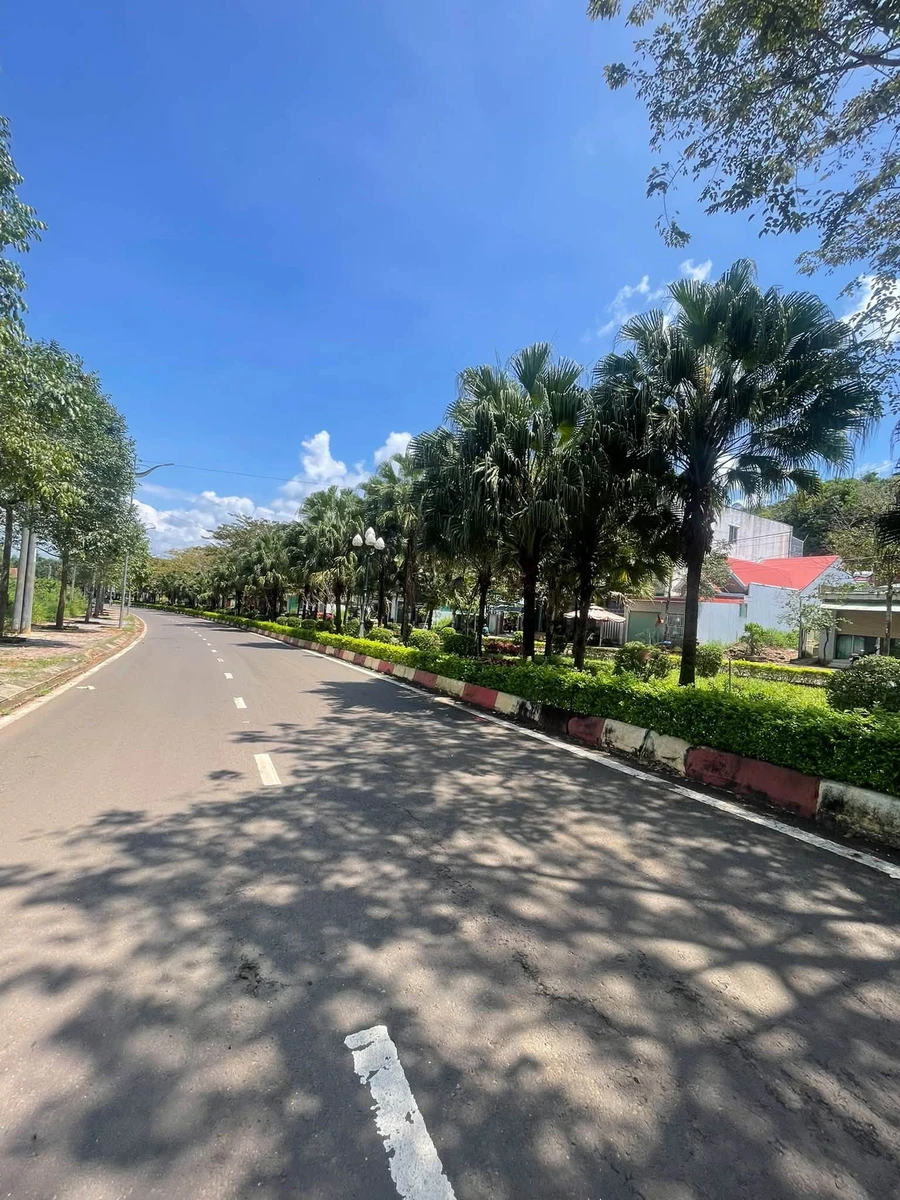 Bán đất mặt đường Tôn Đức Thắng 12x29,9m thổ cư, giá 2,7 tỷ, Đông Gia Nghĩa, Lâm Đồng - Ảnh thu nhỏ 2