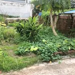 Bán đất Tiên Dược Hà Nội 81m2 gần KCN Nội Bài - Ảnh thu nhỏ 3