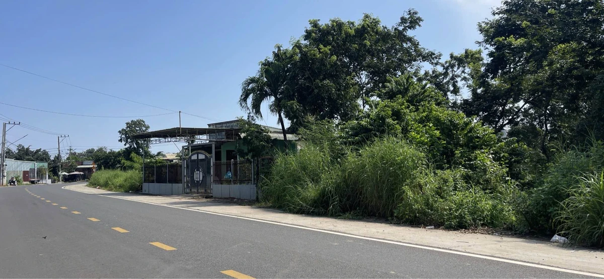 Bán đất mặt tiền Nguyễn Huệ 285m² - 1 tỷ 100 triệu - Ảnh thu nhỏ 3
