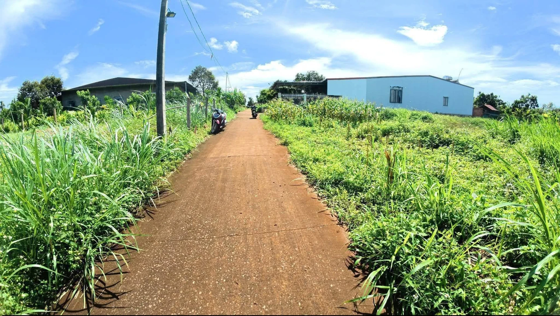 Bán đất Krông Năng 270m² (6×45m) thổ cư 680 triệu - Ảnh 1