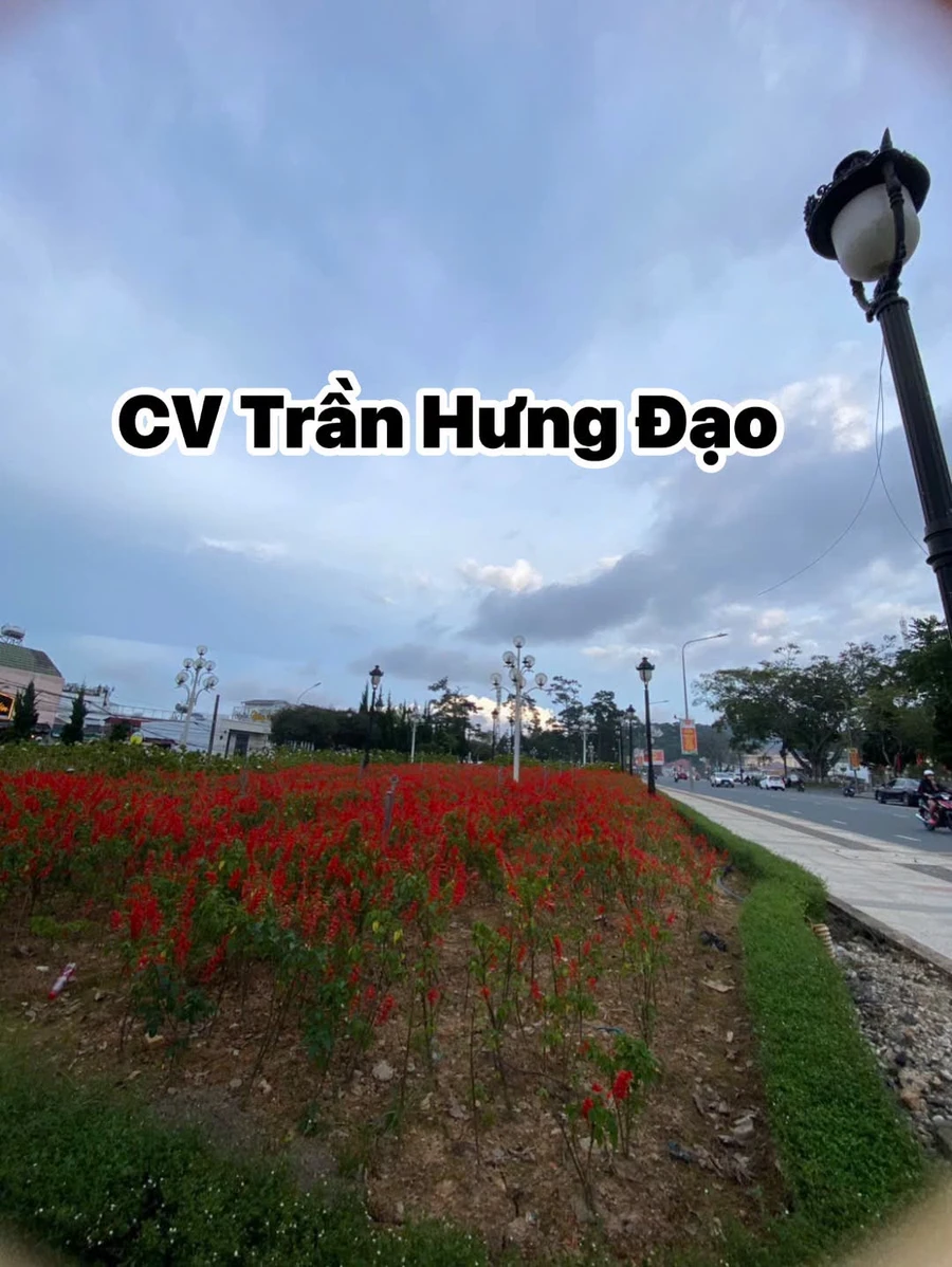 Bán nhà 50m² mặt tiền trung tâm Đà Lạt 6,6 tỷ - Ảnh 1