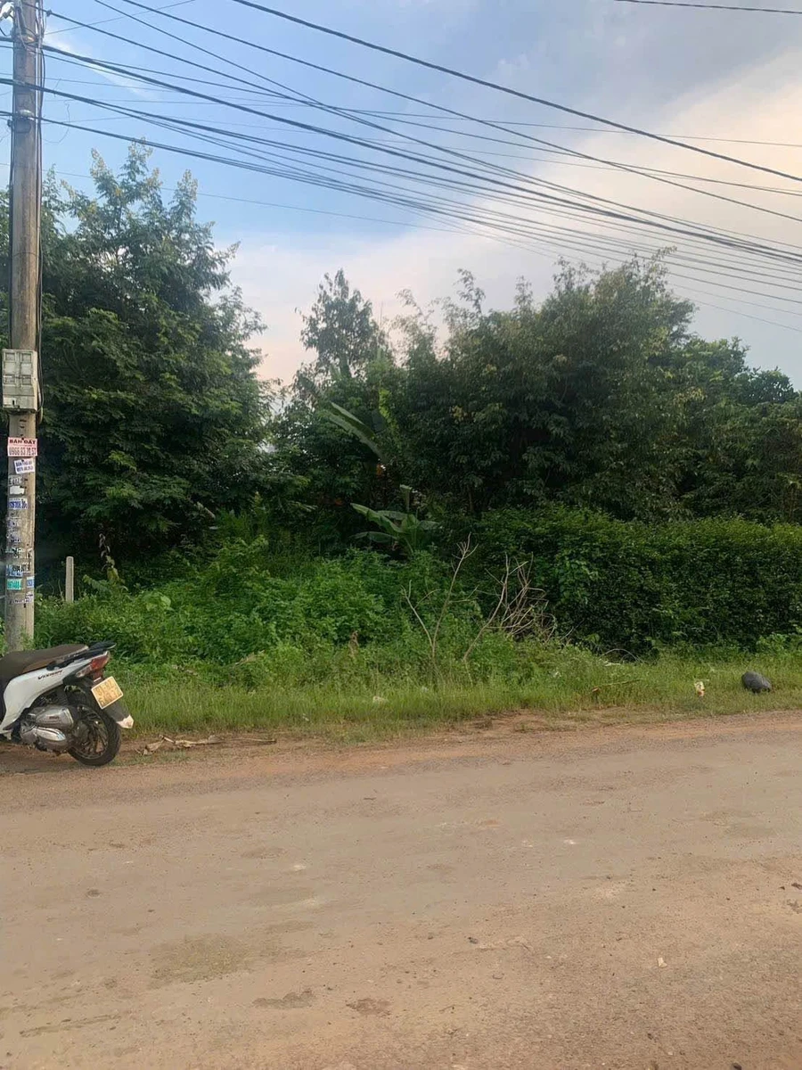 Bán đất mặt tiền Nguyễn Trường Tộ 6x24m Quận 12 - Ảnh thu nhỏ 3
