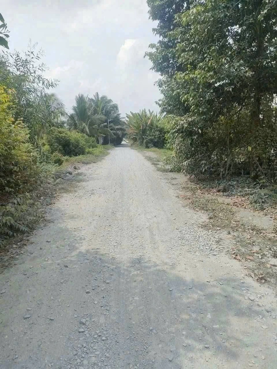 Bán đất vườn 7700m² tại Xã Thạnh Lợi, Tây Ninh - 5 tỷ 500 triệu - Ảnh thu nhỏ 3