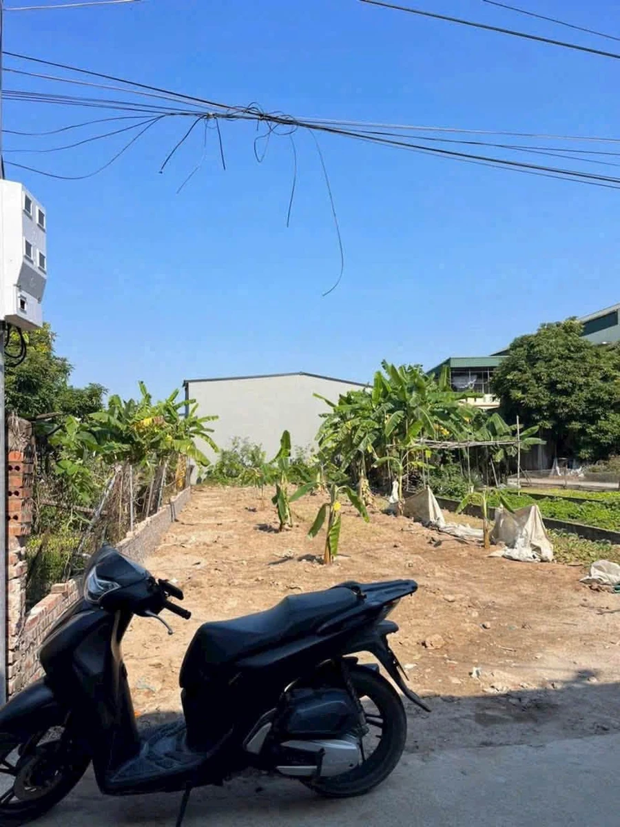 Bán 2 lô đất 100m² mặt tiền 4m Hải Phòng - Ảnh 1